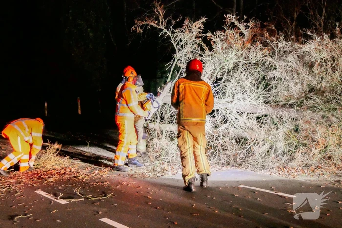Omgewaaide boom blokkeert doorgaande weg