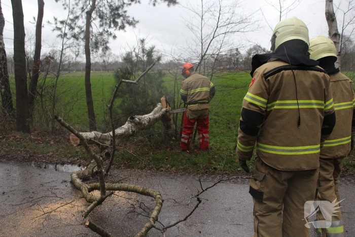 nieuws hei-eind sint-oedenrode