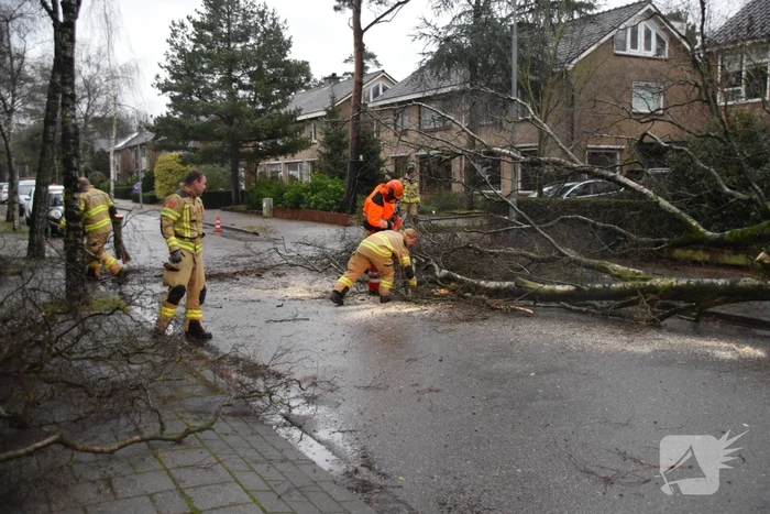 Omgewaaide boom blokkeert weg en sloopt lantaarnpaal