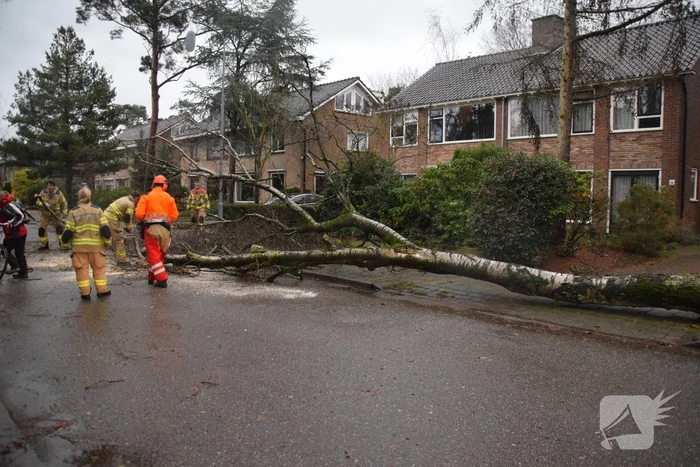 Omgewaaide boom blokkeert weg en sloopt lantaarnpaal