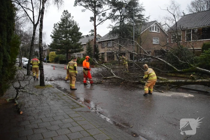 Omgewaaide boom blokkeert weg en sloopt lantaarnpaal