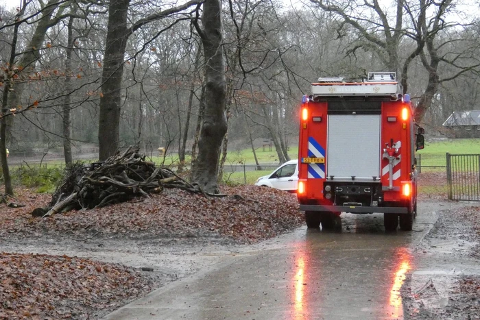 natuur zandhoeklaan westerbork