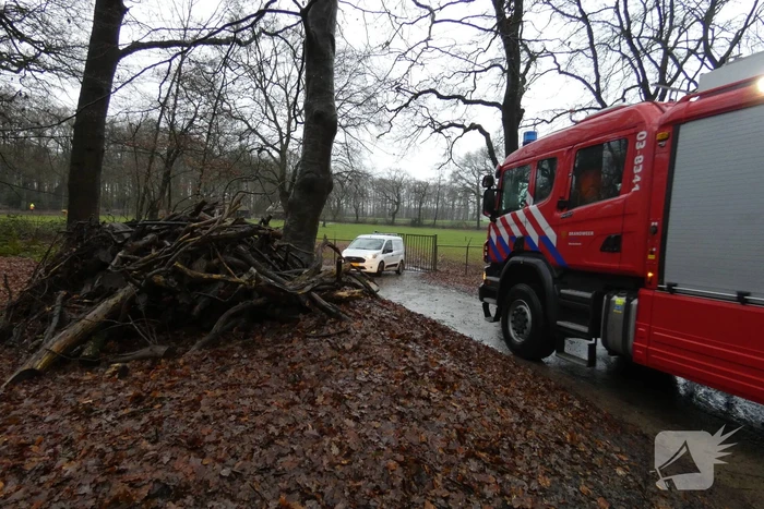 Brandweer ingezet voor omgewaaide boom