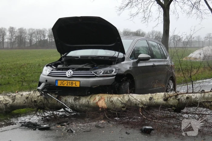 natuur zwiggelterweg hooghalen
