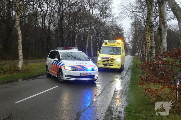 Boom waait om voor rijdende auto