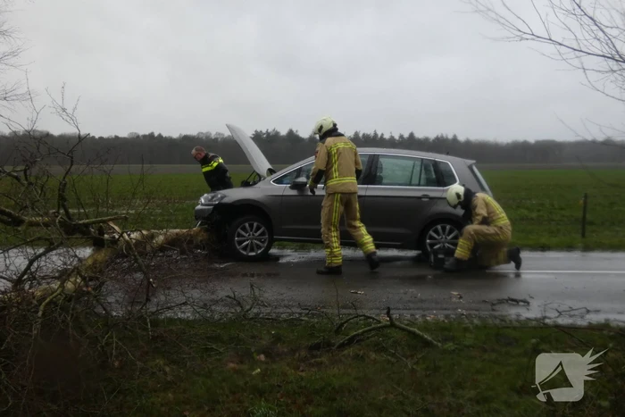 Boom waait om voor rijdende auto