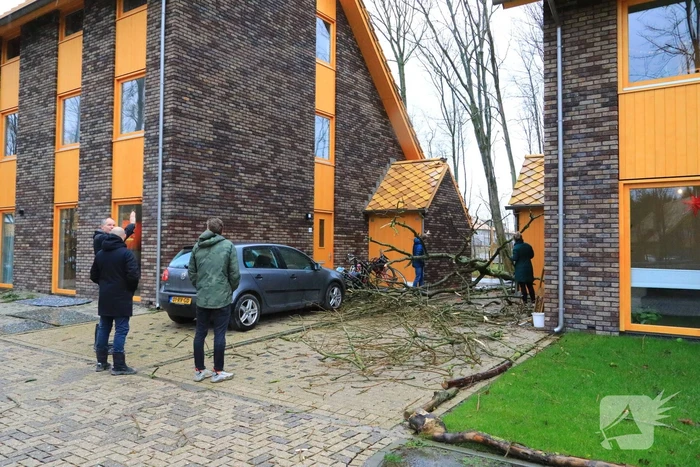 natuur noorderduinstraat almere