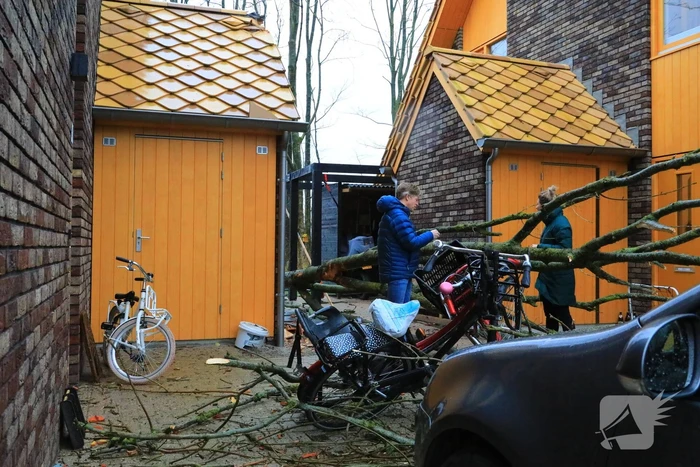 Boom waait om en beschadigt woningen, fietsen en auto
