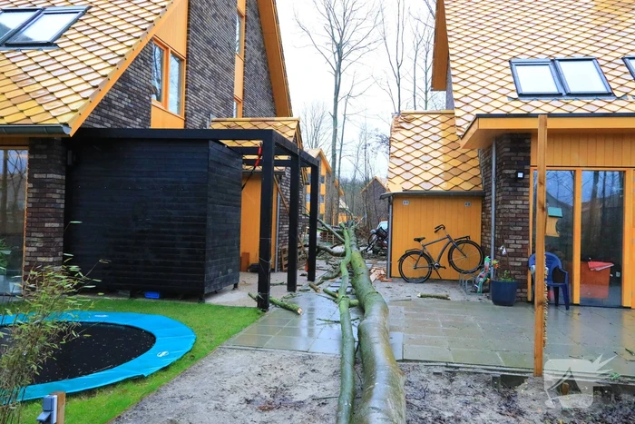 Boom waait om en beschadigt woningen, fietsen en auto