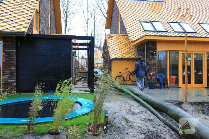 Boom waait om en beschadigt woningen, fietsen en auto