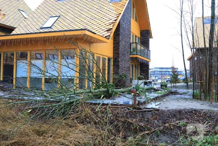 Boom waait om en beschadigt woningen, fietsen en auto