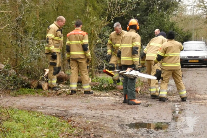 natuur nistelrooise baan schaijk