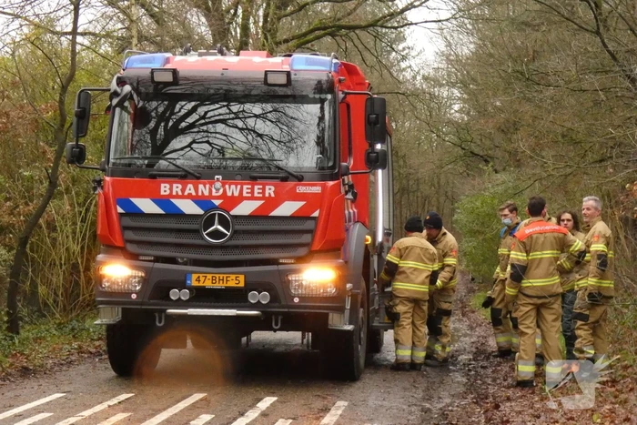 Brandweer zaagt omgewaaide boom in stukken