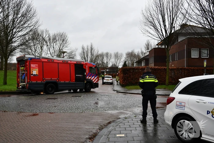 nieuws veluwezoom lelystad