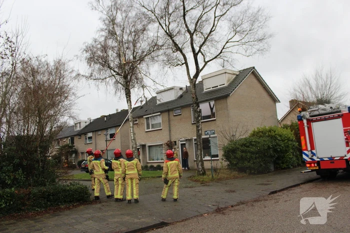 natuur peellaan son en breugel