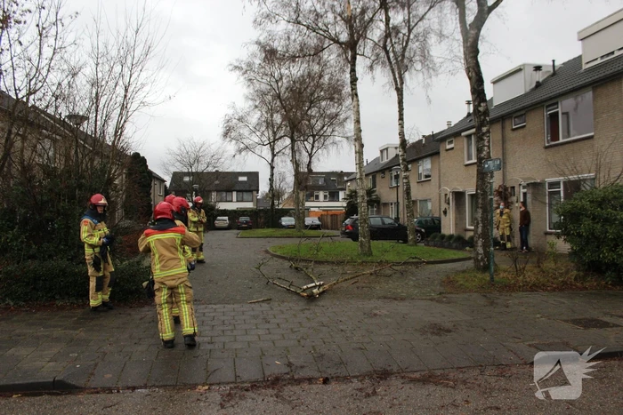 Brandweer zaagt loshangende tak uit boom