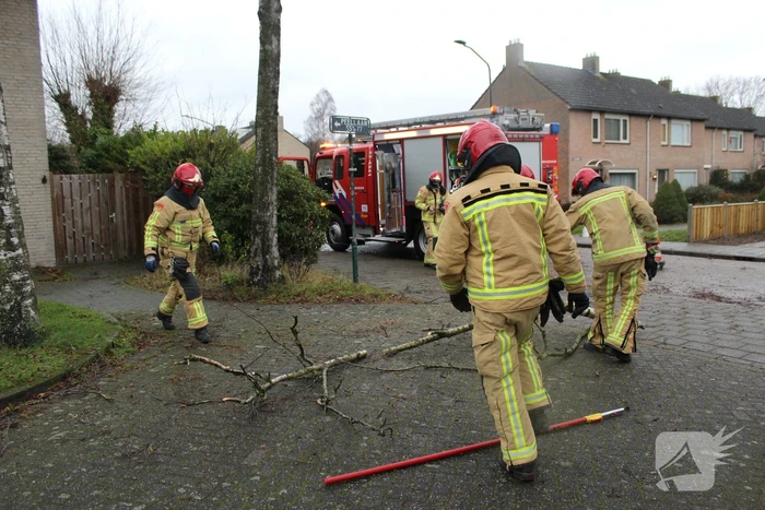Brandweer zaagt loshangende tak uit boom