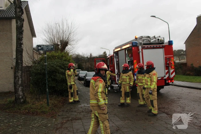 Brandweer zaagt loshangende tak uit boom