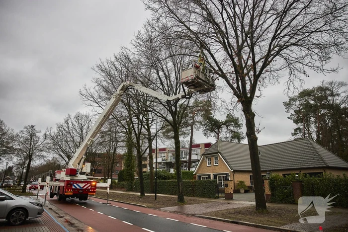 Brandweer verwijdert gevaarlijk hangende tak