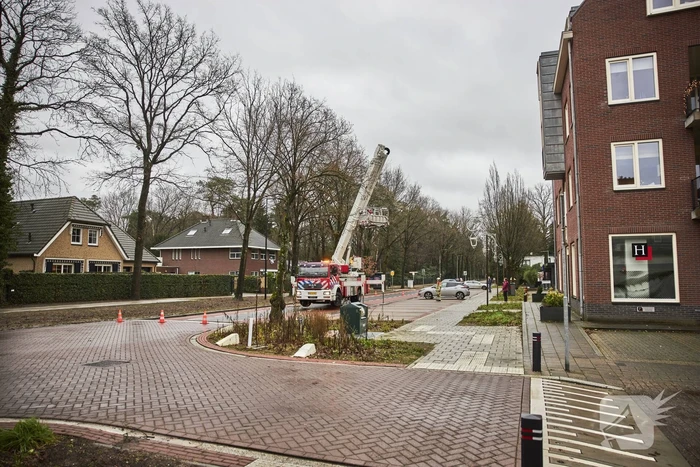 Brandweer verwijdert gevaarlijk hangende tak