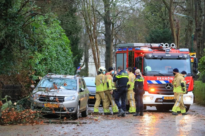 natuur cantonlaan baarn