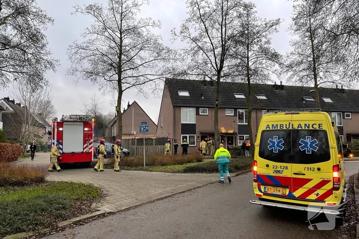 brand horst gemert