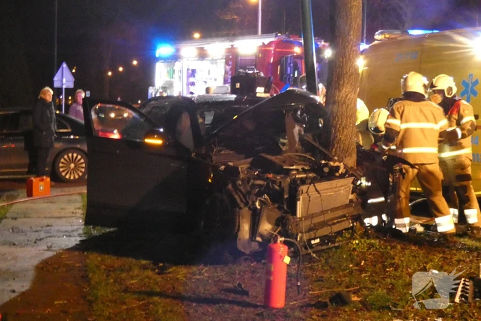 Auto knalt frontaal tegen boom
