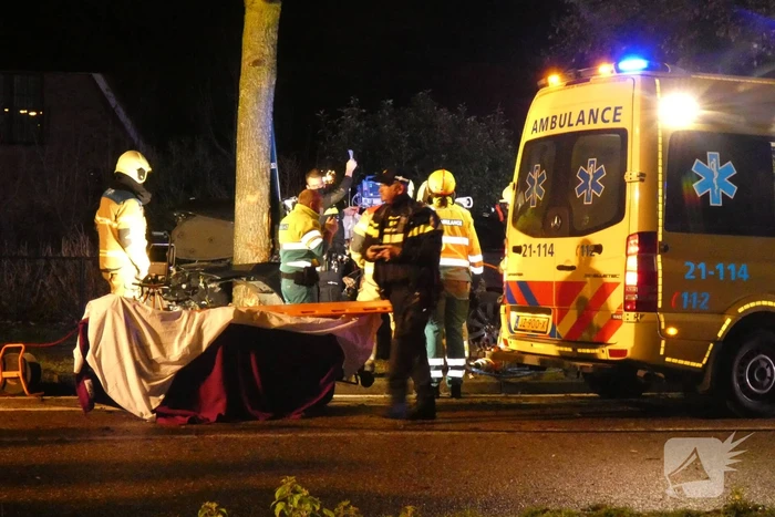 Auto knalt frontaal tegen boom