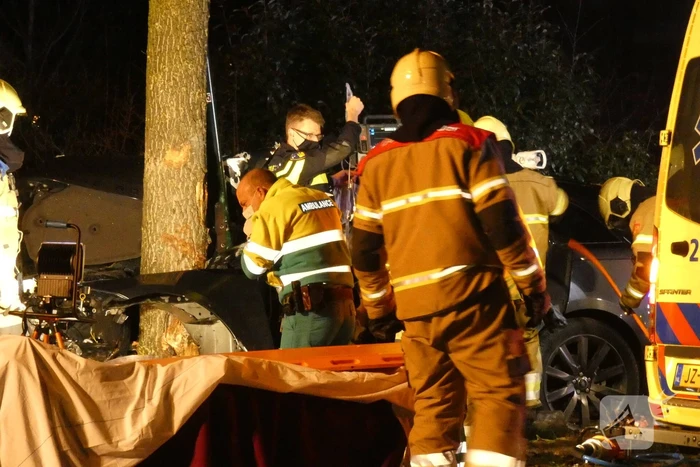 Auto knalt frontaal tegen boom