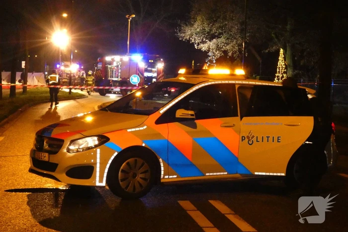 Auto knalt frontaal tegen boom