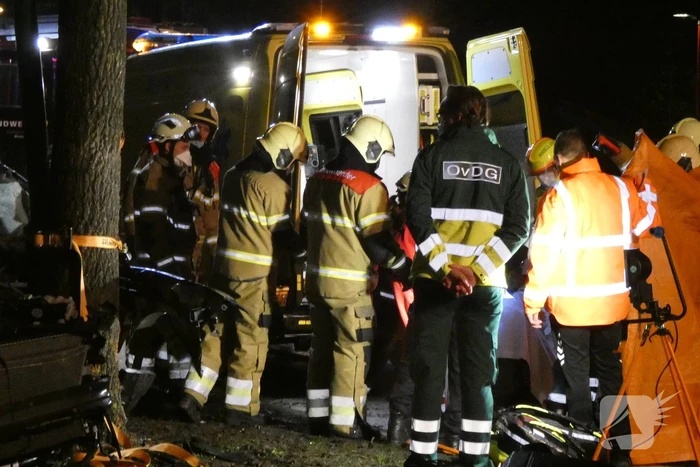 Auto knalt frontaal tegen boom