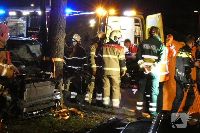 Auto knalt frontaal tegen boom