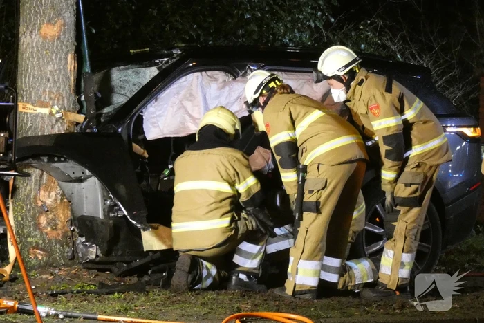 Auto knalt frontaal tegen boom