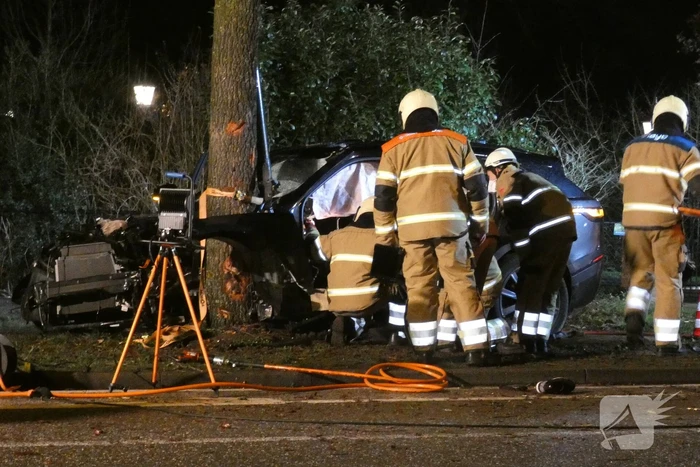 Auto knalt frontaal tegen boom