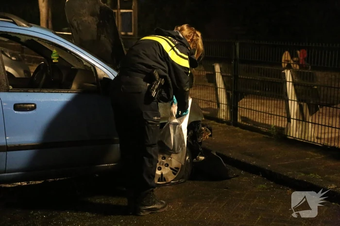 Geparkeerde auto in lichterlaaie