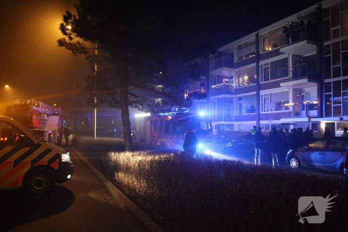 Brand in flatwoning