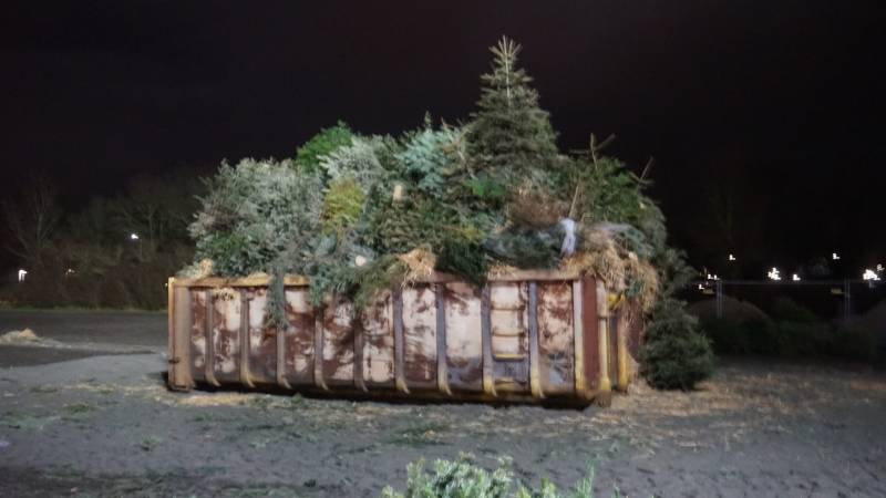 Veel bekijks bij kerstboom verbranding