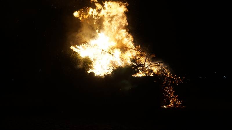 Veel bekijks bij kerstboom verbranding