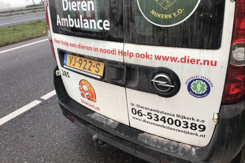 Hond Max gevangen op snelweg