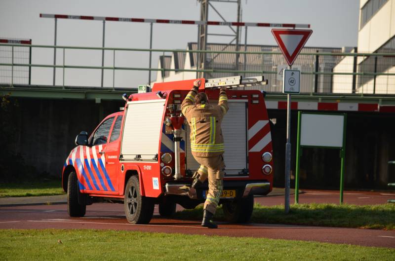 Zwaan vast tussen betonblokken RandstadRail