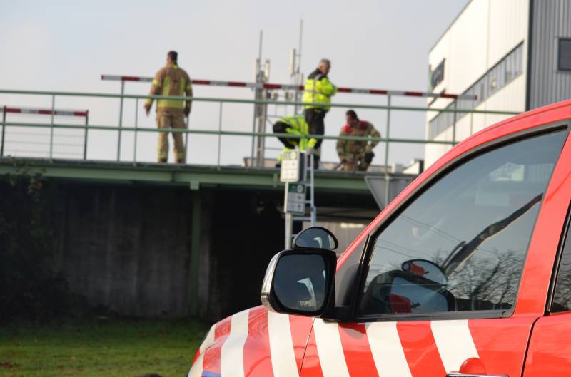 Zwaan vast tussen betonblokken RandstadRail