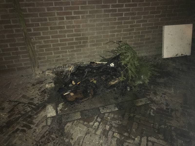 Brandende kerstboom snel geblust