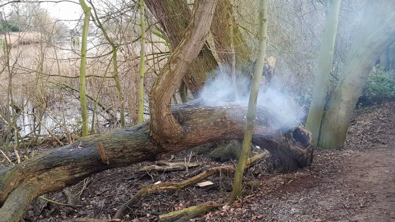 Boom in stukken gezaagd om de kunnen blussen