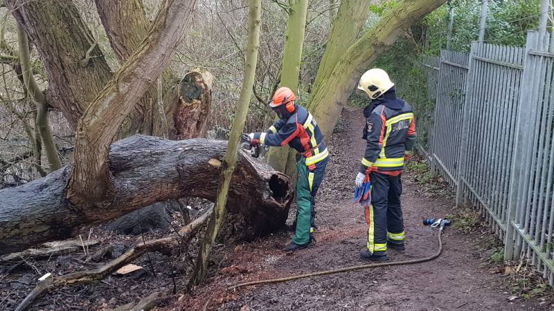 Boom in stukken gezaagd om de kunnen blussen