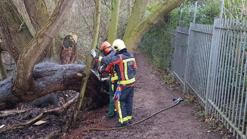 Boom in stukken gezaagd om de kunnen blussen