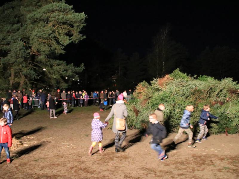 Jaarlijkse kerstboomverbranding druk bezocht