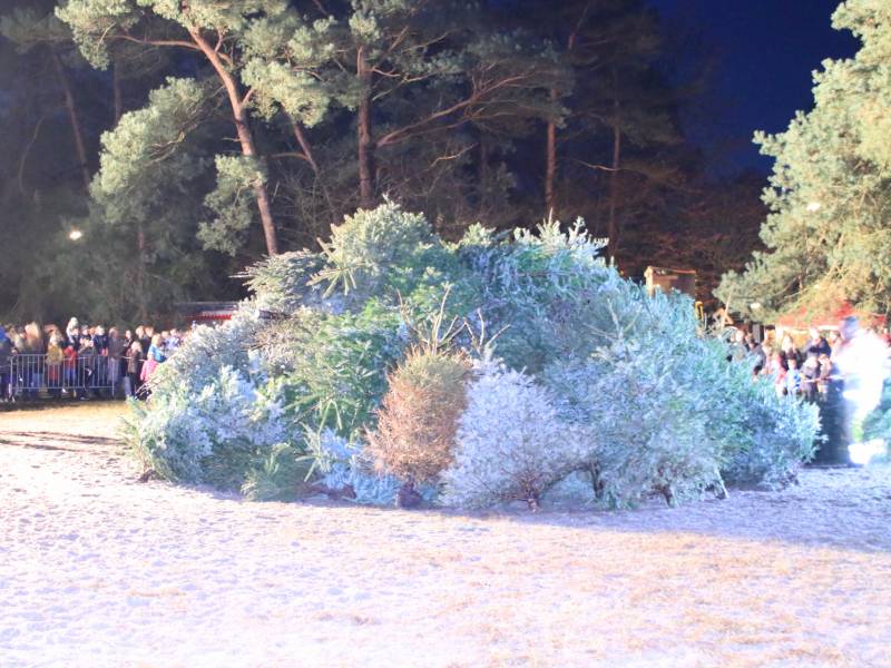 Jaarlijkse kerstboomverbranding druk bezocht