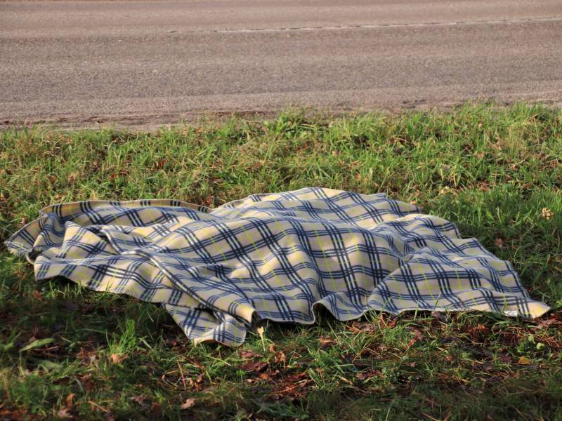 Ree kort na aanrijding overleden