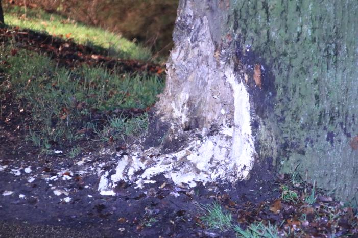 Persoon ernstig gewond na aanrijding met meerdere bomen