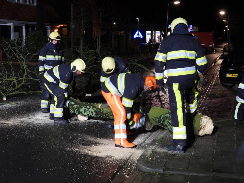 Omgewaaide boom valt op kabels met verlichting